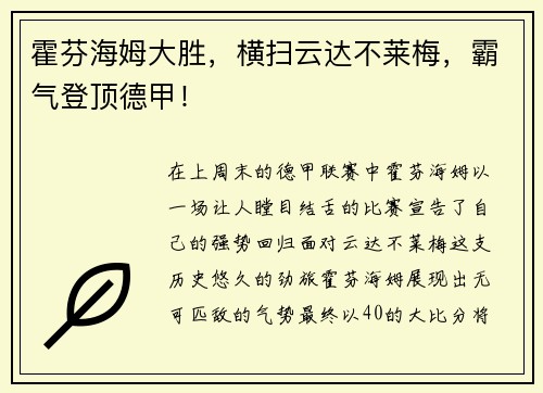 霍芬海姆大胜，横扫云达不莱梅，霸气登顶德甲！