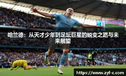 leyu乐鱼体育